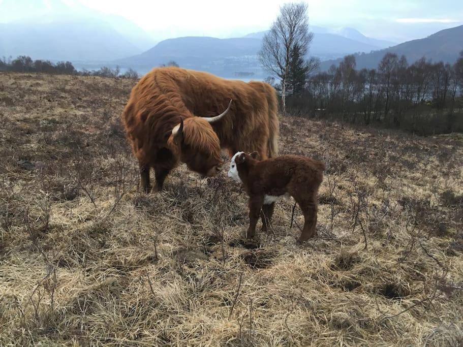 Carnach Lägenhet Fort William Exteriör bild